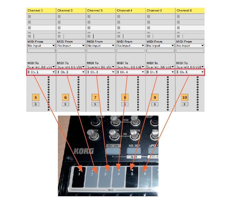 MIDI Channel Routing from Ableton Live Track to Korg Volca Drum
