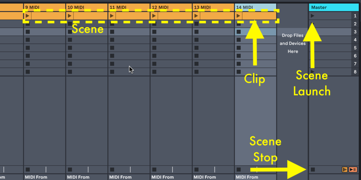 How to play next scene automatically in Ableton Live.
