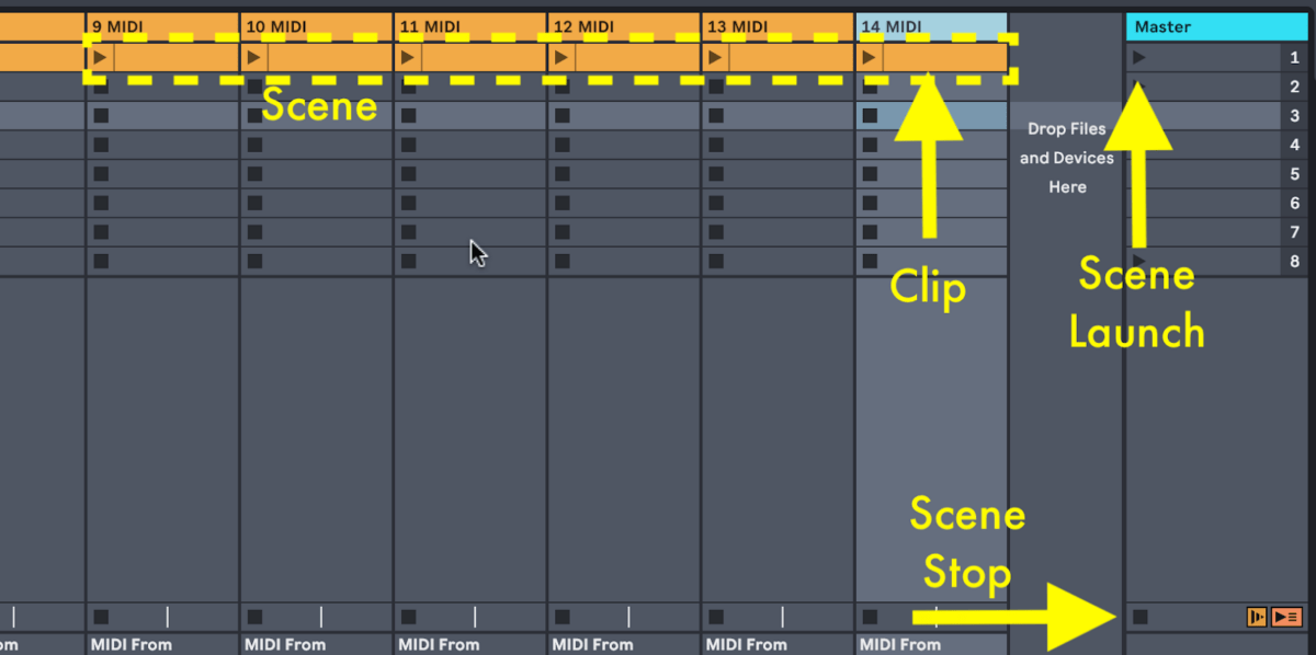 trigger a scene in Ableton Live